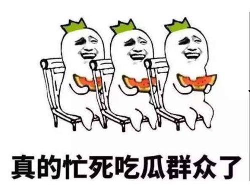 吃瓜群众,吃瓜群众眼中的明星生活